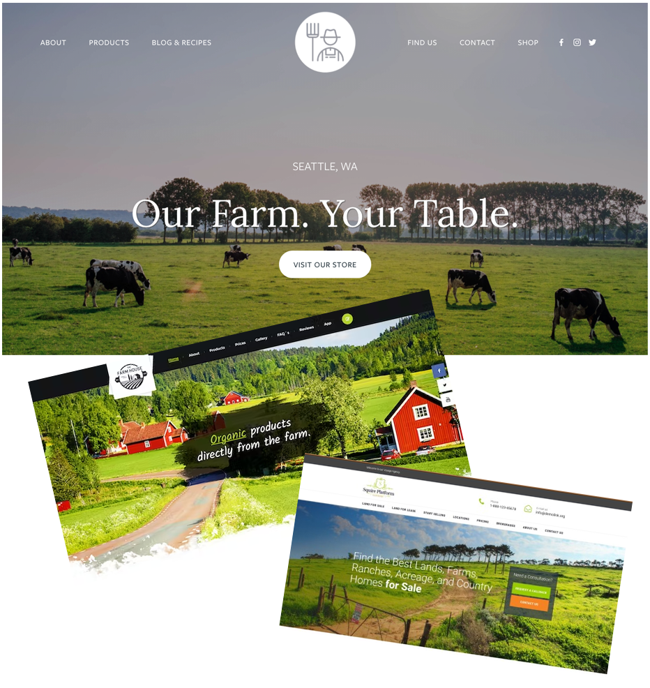 example websites created for ratethisranch.com.